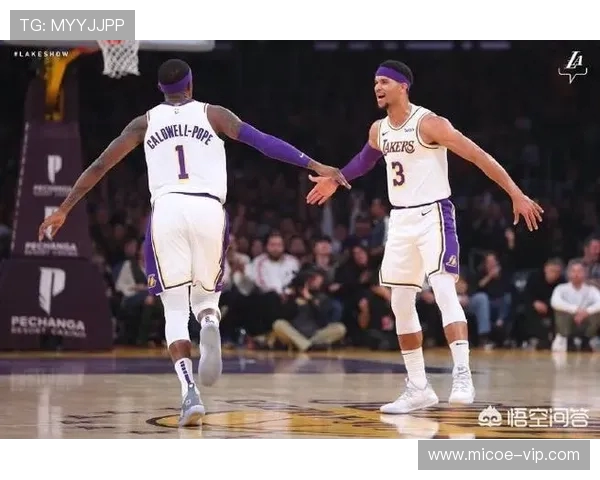 老鹰与湖人激战回顾球场上的精彩瞬间与战术分析