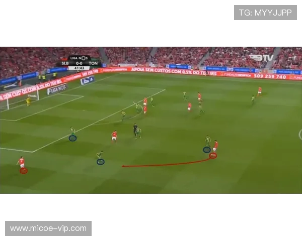 若昂内维斯:从新星崛起到足球舞台的璀璨之星