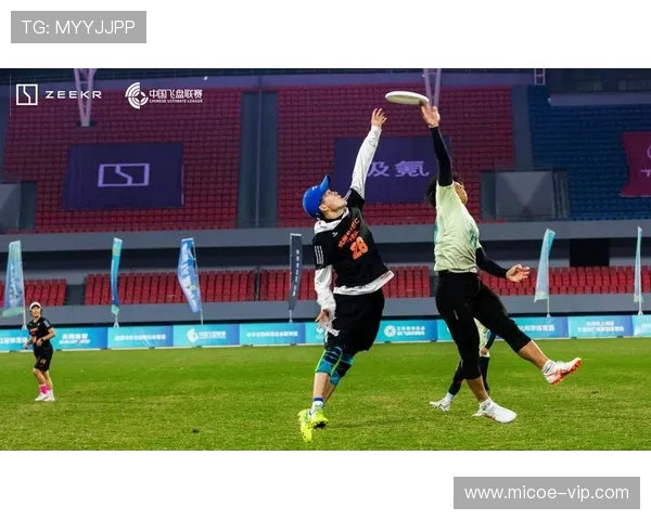 南京飞盘队在极限运动联赛中的心理素质分析与表现评估